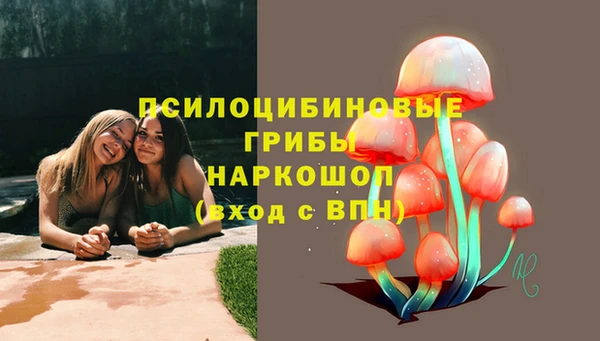 гидропоника Аркадак
