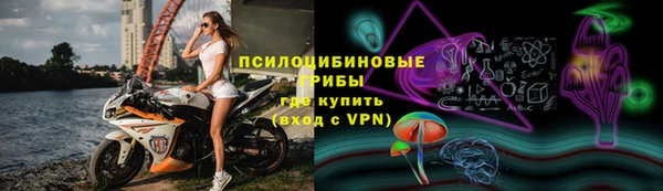 герыч Арсеньев