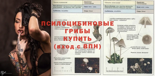 герыч Арсеньев