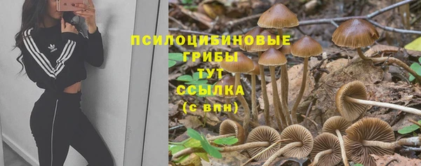 герыч Арсеньев