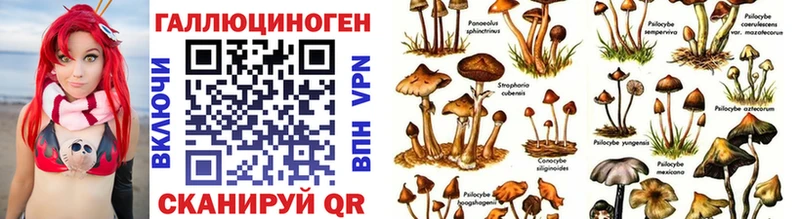 где продают наркотики  Междуреченск  Галлюциногенные грибы Psilocybine cubensis 